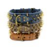 Spike Rivet Dog Collar