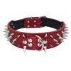 Anti-Bite Rivet Dog Collar Rope