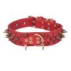 Spike Rivet Dog Collar
